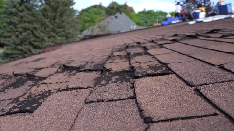 Best Rubber Roofing (EPDM, TPO)  in South Bloomfield, OH