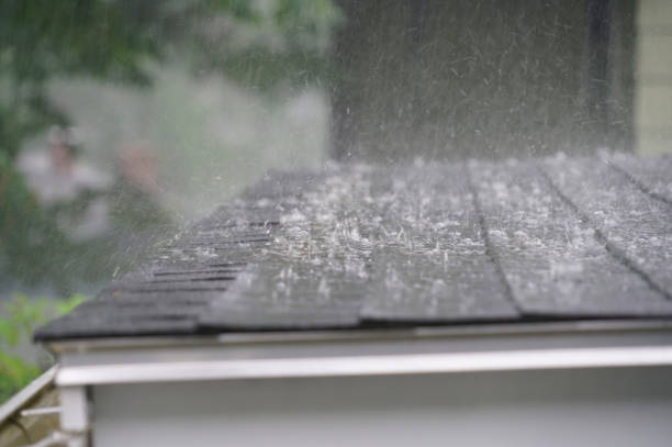Best Roof Installation  in South Bloomfield, OH
