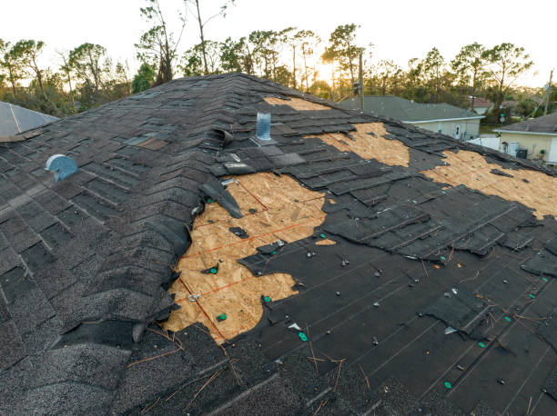 Skylights in South Bloomfield, OH