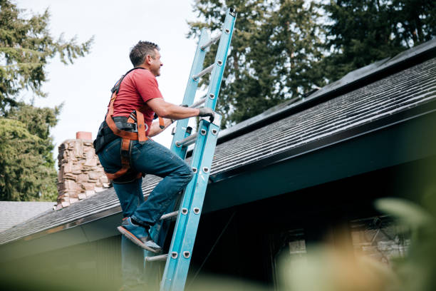 Best Chimney Flashing Repair  in South Bloomfield, OH