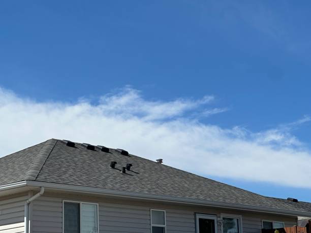 Roof Coating Services in South Bloomfield, OH